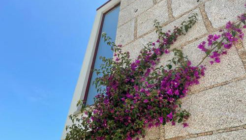 Casa do Arco - Foto 3