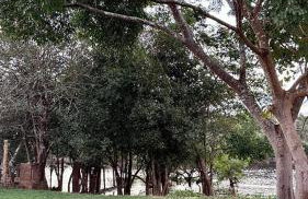 Rancho Piau - Foto 39