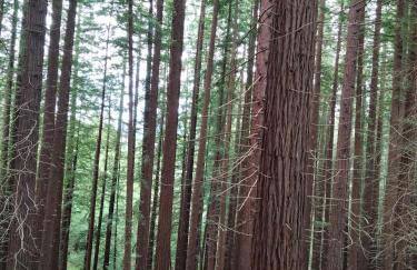 El Mirador del Valle, a 9 min de Comillas - Photo 24