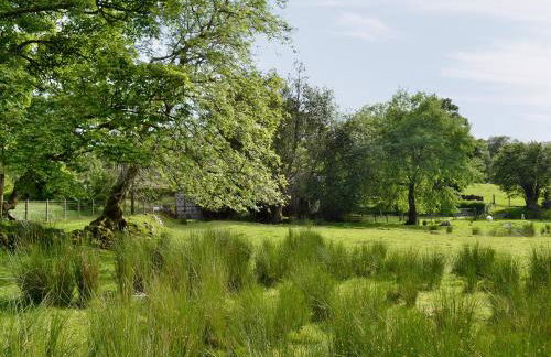 Dol Afon - Hw7588 - Foto 9