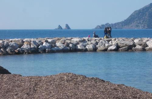 T2 climatisé à 500m de la plage sur la presqu'ile de Saint Mandrier sur Mer - Photo 24