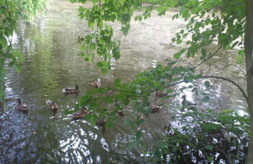 Charming Retreat, Ballenstedt - Foto 36