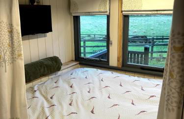 Shepherds hut, Eco, Log burner Hot tub NY moors - Foto 25