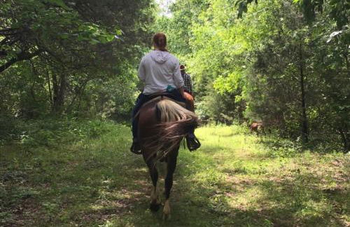 *The Governor's Mansion* Close to Downtown - Photo 62