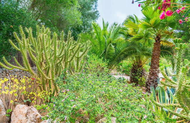 Can Pina - Eco Pina - - Photo 28