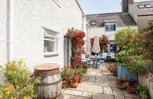 Bryn Tegid - Foto 34