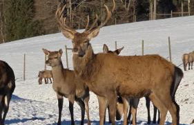 Vertu'Ose avec jacuzzi - Foto 12