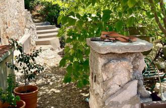 Blue Dream - Foto 47