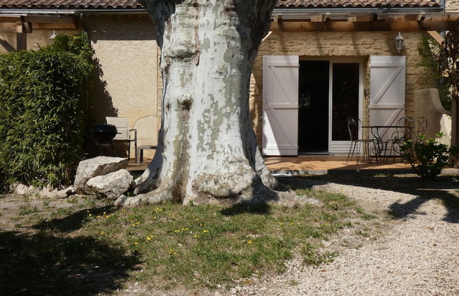 Mas Séraphin - Photo 54