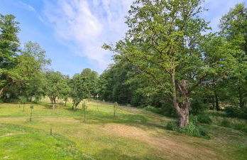 Vierseitenhof Appartements - Foto 10