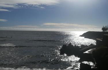 Pineapple Studio - Photo 56