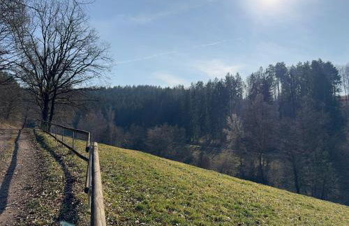 Auszeit im Wald - mit Schwimmbad! - Foto 37