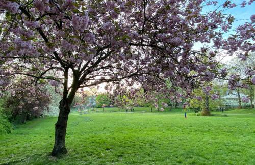 Queens Lodge - Photo 16