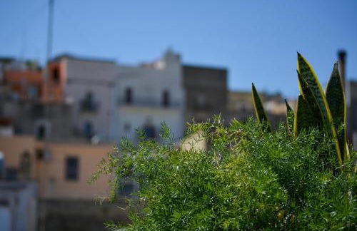 Casa Levante - Foto 31