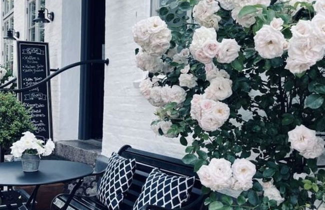 Schwanen Herz Comfortable Holiday Residence - Foto 24