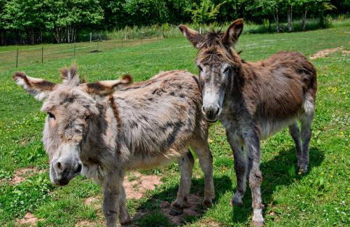 3 Bed in Aylton 77379 - Foto 32