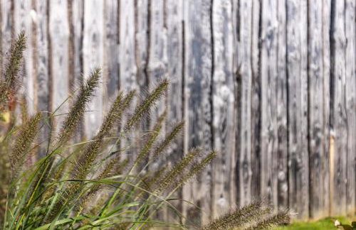 The Pig Arc - Foto 60