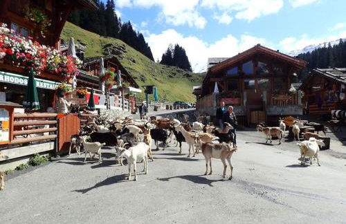 Appartement Portes du Soleil à Le Biot avec ménage et WIFI inclus - Foto 22
