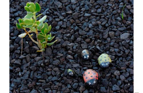 Casa do Zé II AL - Photo 69