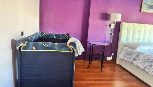 Le Ortensie in centro e vicino al mare - Foto 2