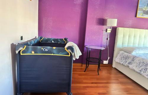 Le Ortensie in centro e vicino al mare - Foto 2