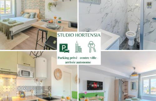 Hortensia Roanne centre-ville - Parking & Clim - Foto 1