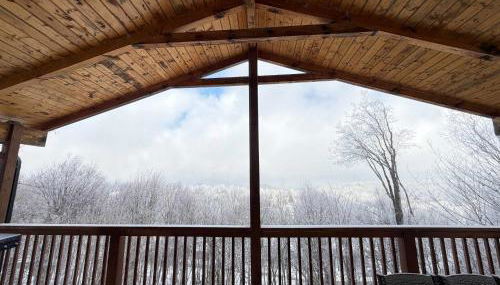 Paws at the Peak - Foto 2