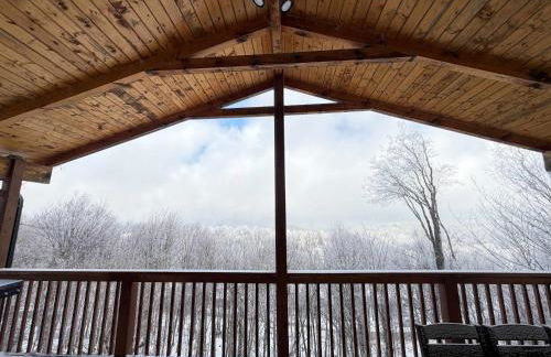 Paws at the Peak - Foto 2