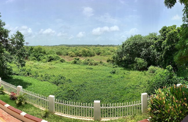 Monarch suites - Photo 45