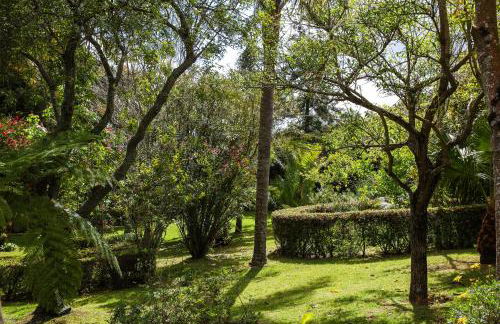 Quinta das Flores - Photo 49