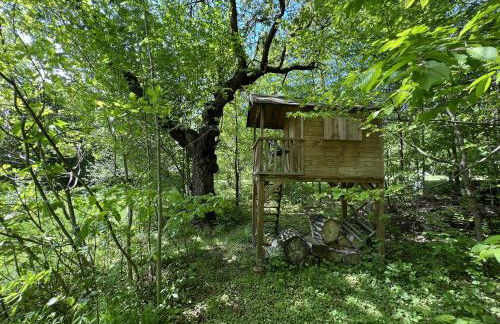 Vorwerk Biensdorf - Foto 13