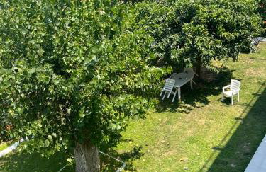 Sempre Viva - Foto 25