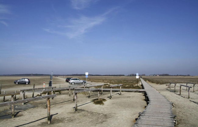 Ferienwohnung, St. Peter - Ording - Photo 13