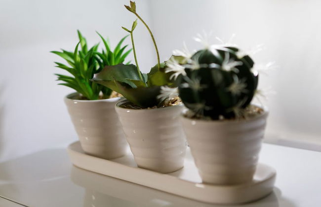 Live in Leeds Sky Penthouse - Photo 2