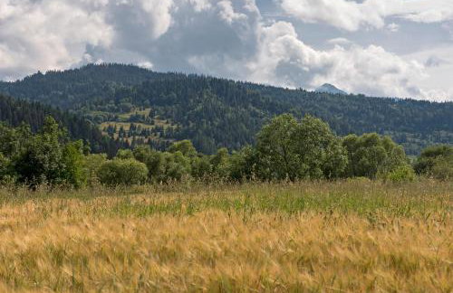 Domki u Kromki - Foto 10