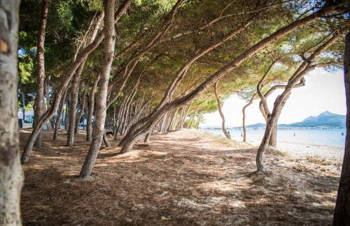 Apartment Beach Inn - Foto 128