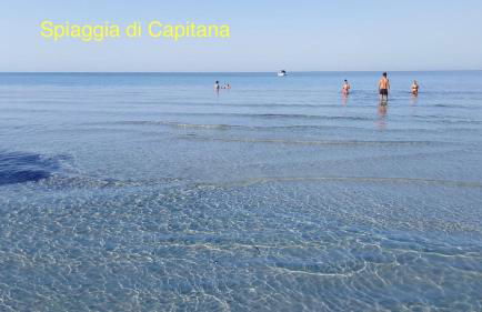 Civico 381 - private parking - Photo 42