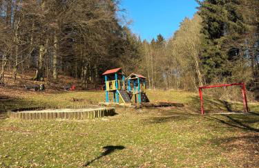 Sternschnuppe - Foto 9