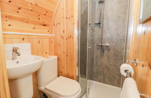 Llugwy Pod - Foto 14