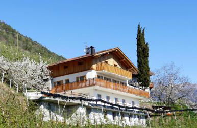 Der Luemerhof - Foto 13