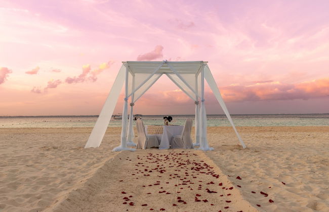 Beachscape Kin ha Villas & Suites - Photo 69