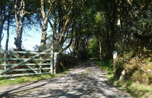 Pond Meadow - Foto 31