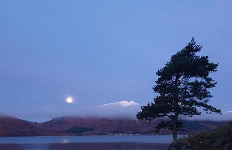 The Green House - Foto 23