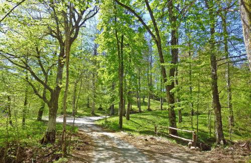 Villa Morelli Gualtierotti - Foto 53