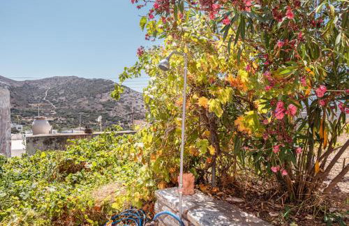 Zeus House - Foto 17