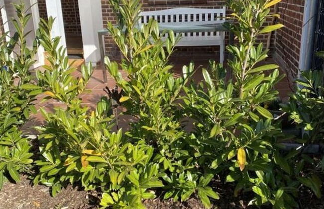 Fischerhus Fehmarn Comfortable Holiday Residence - Photo 25