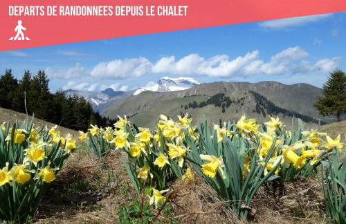 Chalet COCOTTE - pétanque, jacuzzi & baby-foot - Foto 44