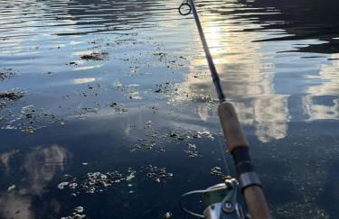 No4 Invereoch - Foto 24