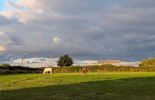 Up Shed - Modern Countryside King-size Ensuite With Own Access - Foto 2