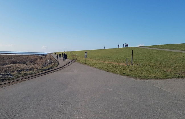 Gemuetliches, Exklusives Ferienhaus in Dagebuell - Foto 24